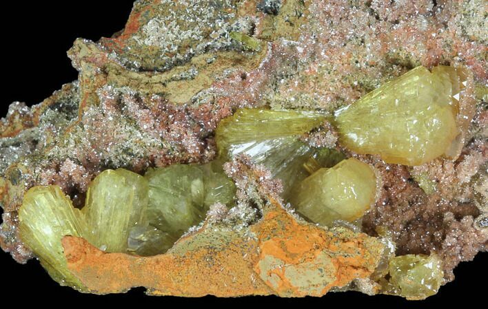 Gemmy, Yellow-Green Adamite Crystals - Durango, Mexico #88895